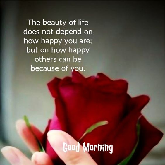 Love Messages & Wishes Good Morning For Whatsapp - Good Morning Images, Quotes, Wishes, Messages, greetings & eCard Images