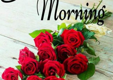 Pinterest For Love Good Morning Images - Good Morning Images, Quotes, Wishes, Messages, greetings & eCard Images