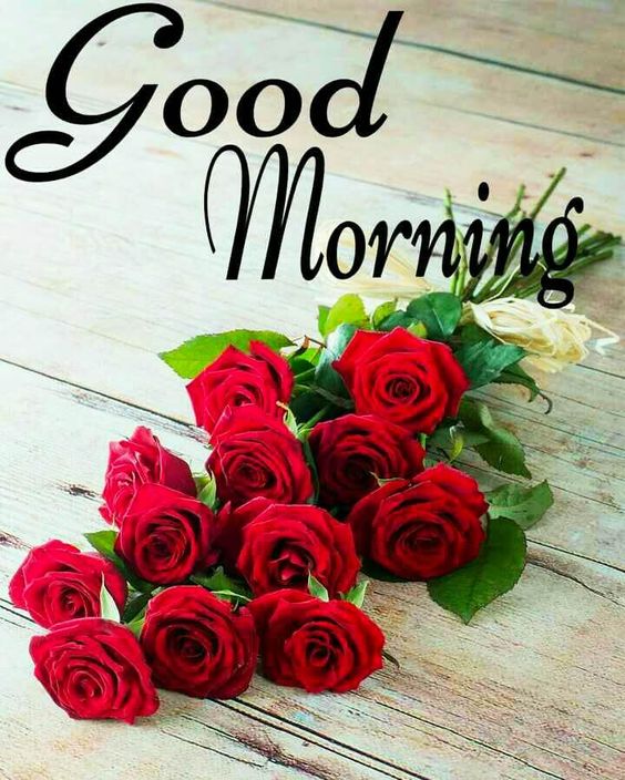 Pinterest For Love Good Morning Images - Good Morning Images, Quotes, Wishes, Messages, greetings & eCard Images