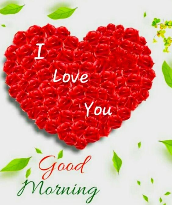 Red Love Heart Make With Flowers Morning - Good Morning Images, Quotes, Wishes, Messages, greetings & eCard Images