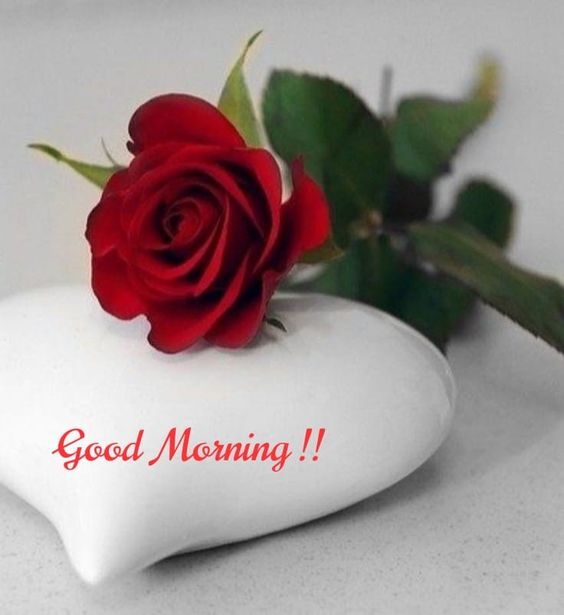 Red Roses Love Romantic Hearts Expressing Love Good Morning Images