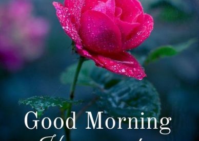 Special Good Morning Quotes & Wishes Images - Good Morning Images, Quotes, Wishes, Messages, greetings & eCard Images