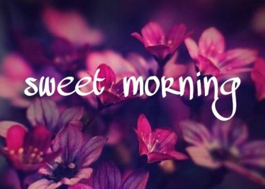 Sweet Morning Images - Good Morning Images, Quotes, Wishes, Messages, greetings & eCard Images