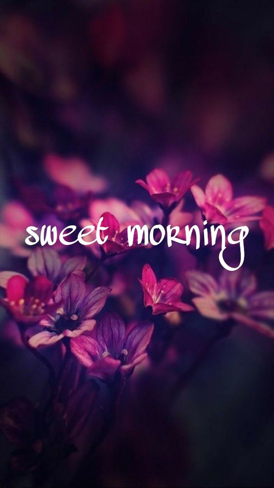 Sweet Morning Images - Good Morning Images, Quotes, Wishes, Messages, greetings & eCard Images