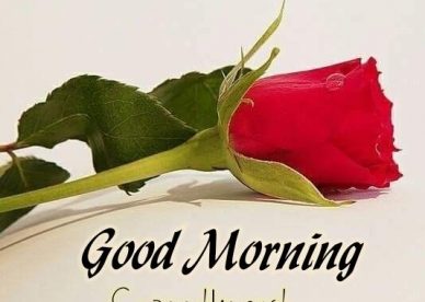 The Most Beautiful Pictures Of Love And Good Morning And Romance For All Lovers