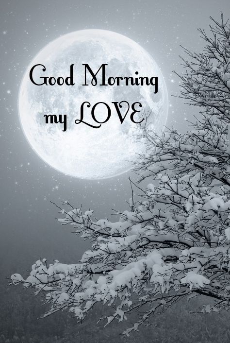 Top Good Morning Pics Free Download- Good Morning Images, Quotes, Wishes, Messages, greetings & eCard Images