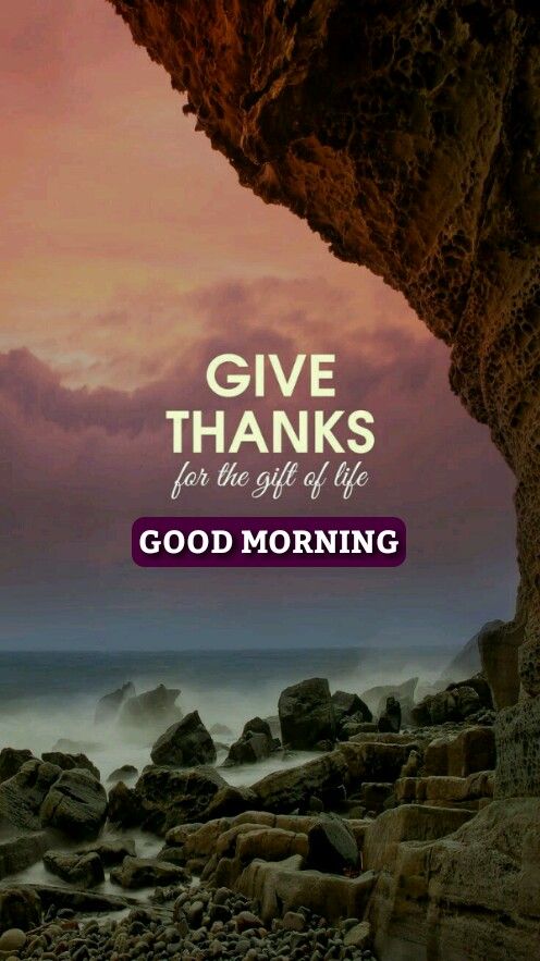 Wishes Of Give Thanks For everyone In the Morning - Good Morning Images, Quotes, Wishes, Messages, greetings & eCard Images