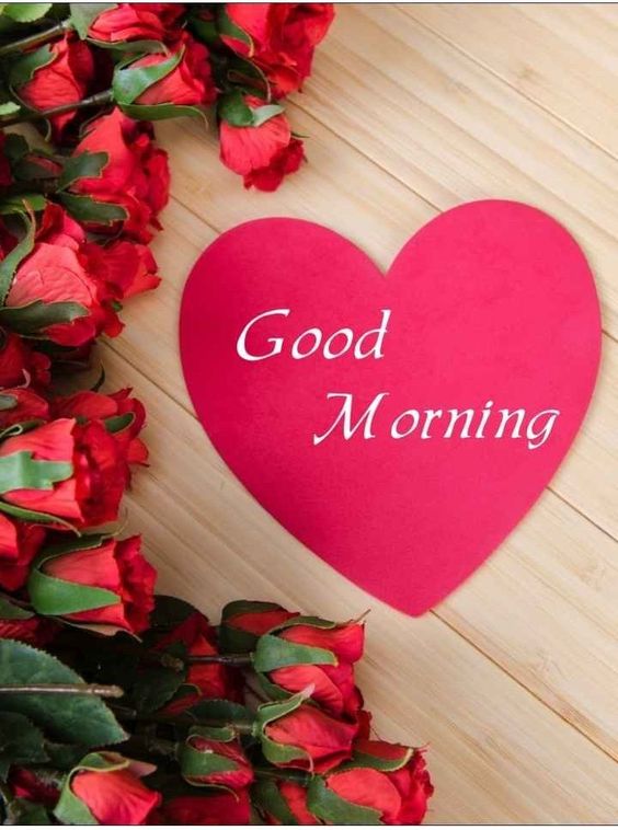 Best Good Morning Love Photos Every Day Free To Use - Good Morning Images, Quotes, Wishes, Messages, greetings & eCard Images