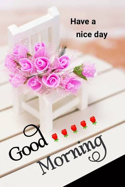 Best Good Morning Quotes On Flowers Images For Free - Good Morning Images, Quotes, Wishes, Messages, greetings & eCard Images