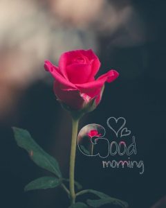 Free Love Good Morning Images To Download HD - Good Morning Images