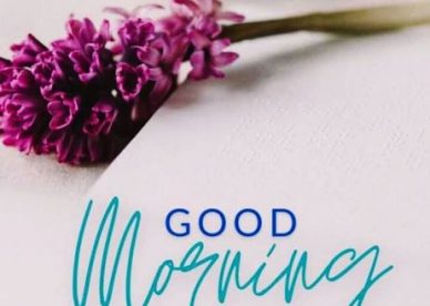 Good Morning Bouquet Of Flowers Have A Nice Day - Good Morning Images, Quotes, Wishes, Messages, greetings & eCard Images