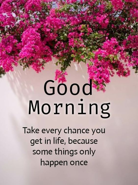 Good Morning Chance Love Chance In Images - Good Morning Images, Quotes, Wishes, Messages, greetings & eCard Images