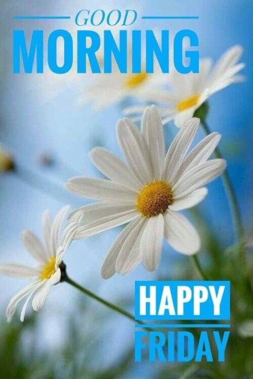 Good Morning Friday Images In English - Good Morning Images, Quotes, Wishes, Messages, greetings & eCard Images