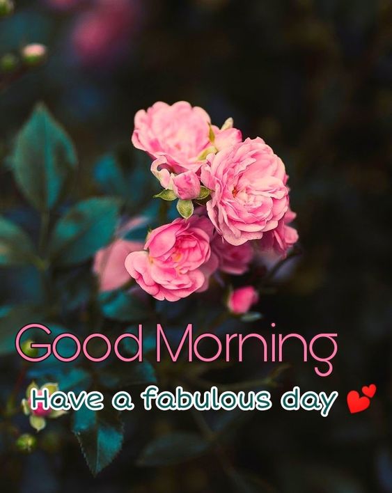 Good Morning Have a Fabulous Day Quotes & Images - Good Morning Images, Quotes, Wishes, Messages, greetings & eCard Images