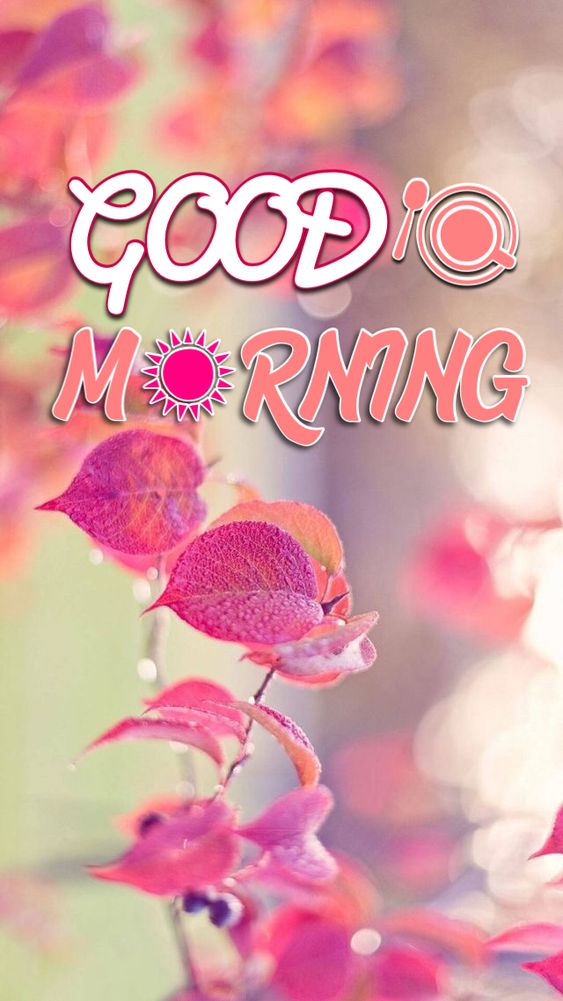 Good Morning In English For Love Greetings - Good Morning Images, Quotes, Wishes, Messages, greetings & eCard Images