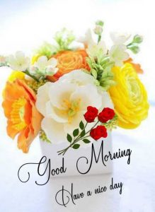 Good Morning In Images Shapes And Colors Of Flowers In Wallpapers ...