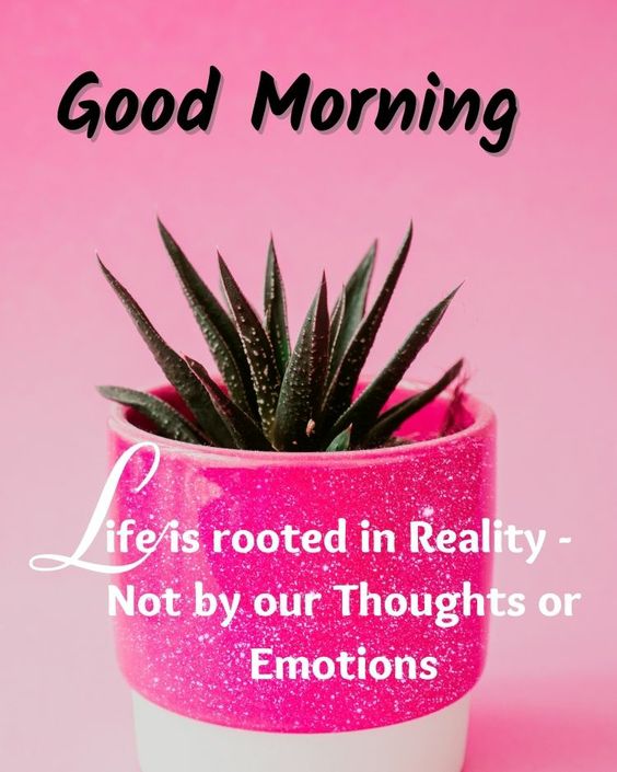 Good Morning Life Is rooted By Reality Quotes - Good Morning Images, Quotes, Wishes, Messages, greetings & eCard Images