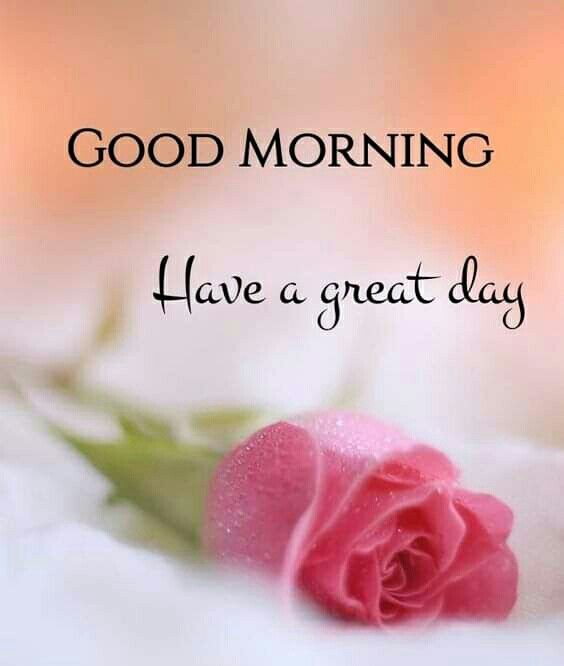 Good Morning Love Pictures Facebook Posts - Good Morning Images, Quotes,  Wishes, Messages, greetings & eCards