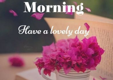 Good Morning Pictures Of A Cup Of Roses, Love And A Book Of Lovers - Good Morning Images, Quotes, Wishes, Messages, greetings & eCard Images