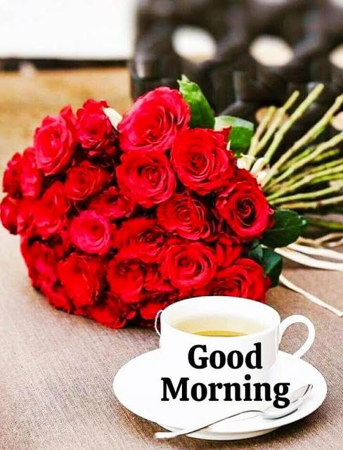 Good Morning Pictures Of Red Flowers Sweet Lovers - Good Morning Images, Quotes, Wishes, Messages, greetings & eCard Images