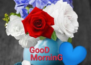 Good Morning Red Rose Love Friday Images - Good Morning Images, Quotes, Wishes, Messages, greetings & eCard Images