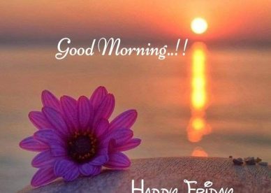 New Pictures Of Blessed Friday And Sunset Morning - Good Morning Images, Quotes, Wishes, Messages, greetings & eCard Images