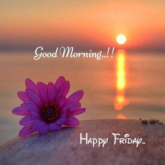 New Pictures Of Blessed Friday And Sunset Morning - Good Morning Images, Quotes, Wishes, Messages, greetings & eCard Images