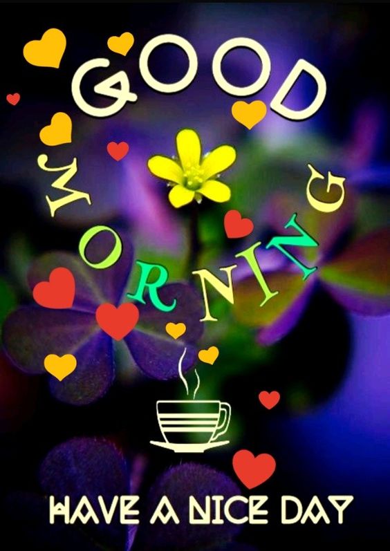 Pictures From Pinterest About Morning And Love - Good Morning Images, Quotes, Wishes, Messages, greetings & eCard Images