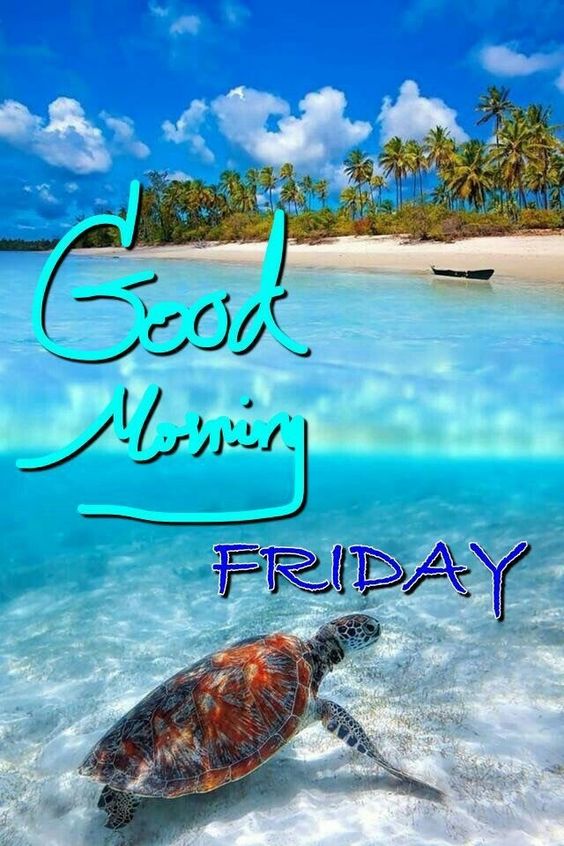 Pin On Good Morning Friday Images - Good Morning Images, Quotes, Wishes, Messages, greetings & eCard Images