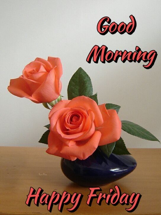 Special Good Morning Quotes For My Love - Good Morning Images, Quotes, Wishes, Messages, greetings & eCard Images