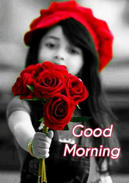 Today Special Love Pinterest Good Morning Images - Good Morning Images, Quotes, Wishes, Messages, greetings & eCard Images