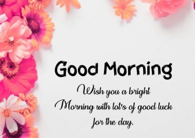 A bright Morning Images 2023 - Good Morning Images, Quotes, Wishes, Messages, greetings & eCard Images - Good Morning Images, Quotes, Wishes, Messages, greetings & eCard Images