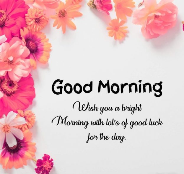 A bright Morning Images 2023 - Good Morning Images, Quotes, Wishes, Messages, greetings & eCard Images - Good Morning Images, Quotes, Wishes, Messages, greetings & eCard Images