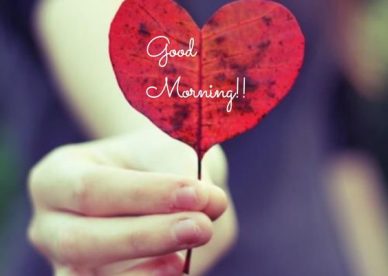Messages And Wishes Of Good Morning Love Images - Good Morning Images, Quotes, Wishes, Messages, greetings & eCard Images