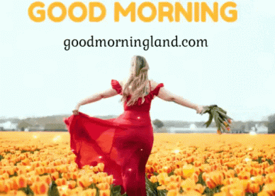Amazing Good Morning Love GIF For Whatsapp - Good Morning Images, Quotes, Wishes, Messages, greetings & eCard Images