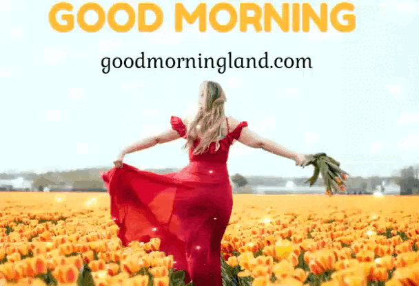 Amazing Good Morning Love GIF For Whatsapp - Good Morning Images, Quotes, Wishes, Messages, greetings & eCard Images
