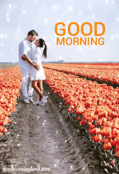 Beautiful Good Morning Love Gifs Free Download - Good Morning Images,  Quotes, Wishes, Messages, Greetings & Ecards