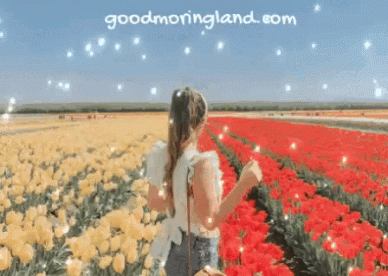 Good Morning Animated Images Of Flower Garden For Lovers - Good Morning Images, Quotes, Wishes, Messages, greetings & eCard Images