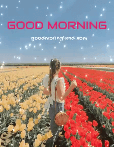 Good Morning Animated Images Of Flower Garden For Lovers - Good Morning  Images, Quotes, Wishes, Messages, greetings & eCards