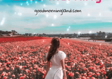 Good Morning GIFs Love For Lovers - Good Morning Images, Quotes, Wishes, Messages, greetings & eCard Images