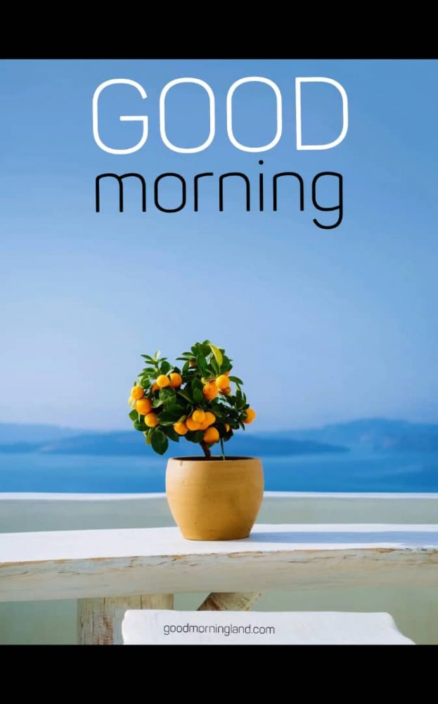 Morning Love Greeting For Pinterest - Good Morning Images, Quotes, Wishes, Messages, greetings & eCard Images