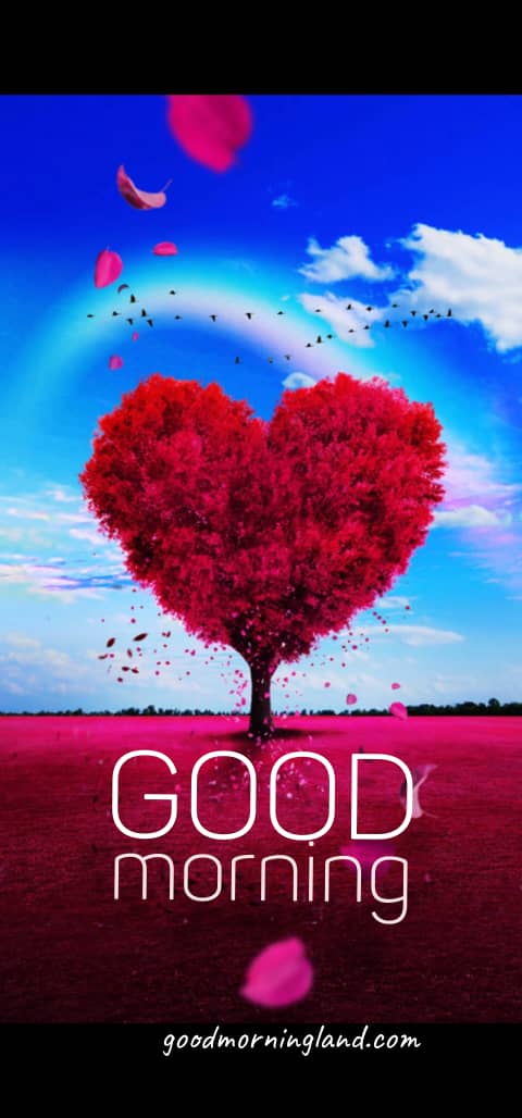 Positive Love Good Morning Background For Iphone - Good Morning Images, Quotes, Wishes, Messages, greetings & eCard Images