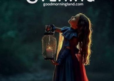 Romantic Good Evening Whatsapp Status - Good Morning Images, Quotes, Wishes, Messages, greetings & eCard Images - Good Morning Images, Quotes, Wishes, Messages, greetings & eCard Images
