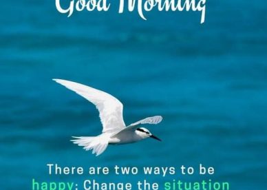 Download Good Morning Quotes in English