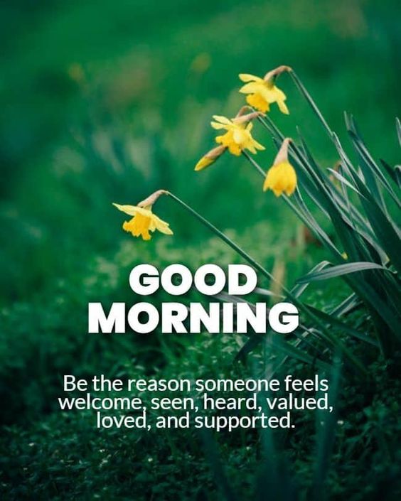 Good Morning Whatsapp Status Today Good Morning Images Quotes Wishes Messages Greetings