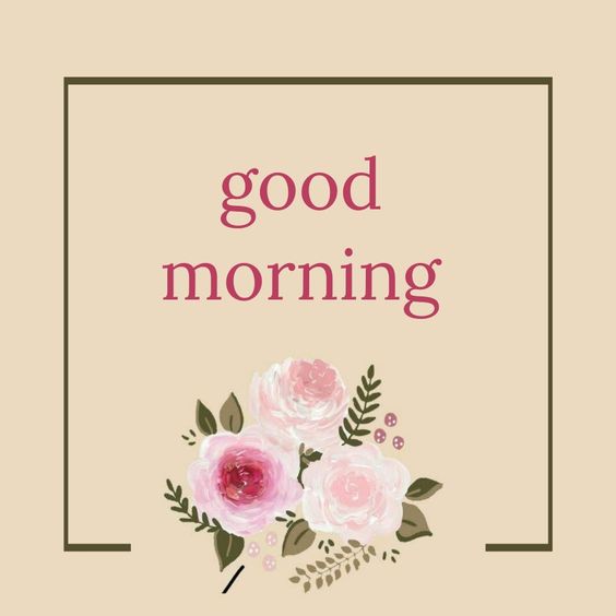 Cute Good Morning Flower Drawing Images