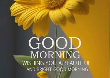 Wishing You a Beautiful and Bright Good Morning